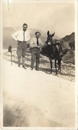 SAMMLUNG GIUSEPPE HAAS-TRIVERIO