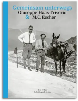 SAMMLUNG GIUSEPPE HAAS-TRIVERIO