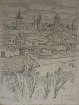 SAMMLUNG GIUSEPPE HAAS-TRIVERIO