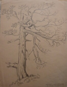 SAMMLUNG GIUSEPPE HAAS-TRIVERIO