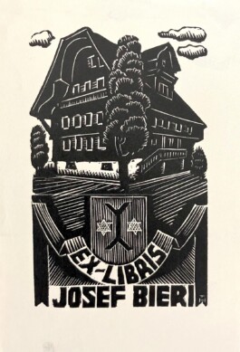 SAMMLUNG GIUSEPPE HAAS-TRIVERIO